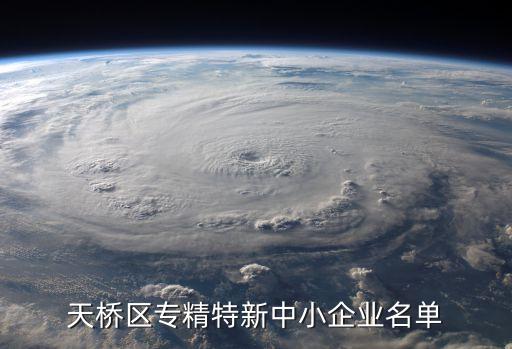 天橋區(qū)專(zhuān)精特新中小企業(yè)名單