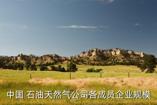中國 石油天然氣公司各成員企業(yè)規(guī)模