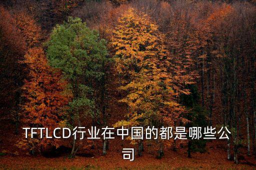 TFTLCD行業(yè)在中國的都是哪些公司