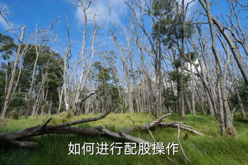 如何進行配股操作