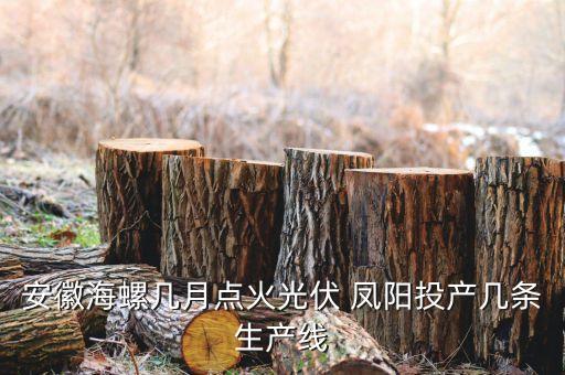 鳳陽(yáng)力諾太陽(yáng)能電力工程有限公司,安徽鳳陽(yáng)偉業(yè)電力工程服務(wù)有限公司