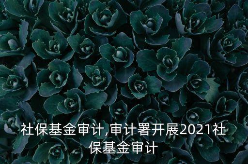 美國社?；饘徲?jì),審計(jì)署開展2021社?；饘徲?jì)