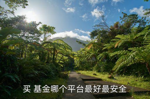 買(mǎi) 基金哪個(gè)平臺(tái)最好最安全