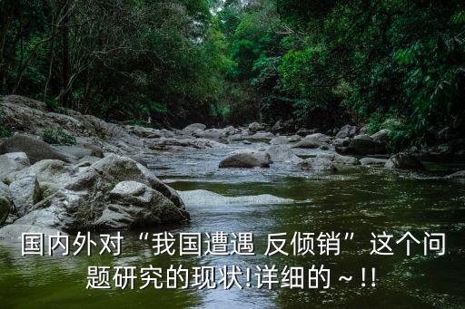 國內外對“我國遭遇 反傾銷”這個問題研究的現(xiàn)狀!詳細的～!!