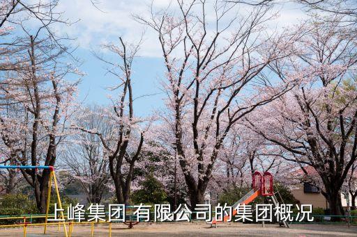  上峰集團(tuán) 有限公司的集團(tuán)概況