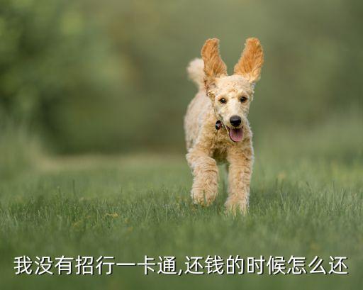 我沒(méi)有招行一卡通,還錢的時(shí)候怎么還