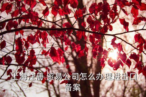  上海注冊 貿易公司怎么辦理進出口備案