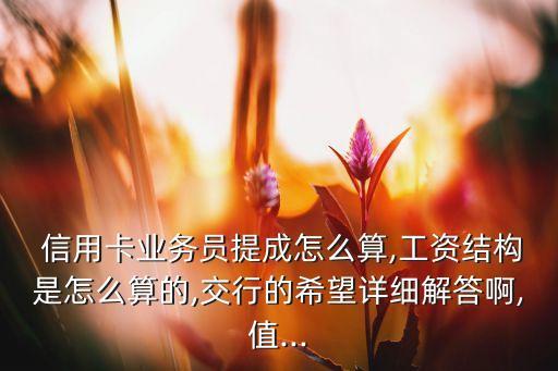 信用卡業(yè)務員提成怎么算,工資結構是怎么算的,交行的希望詳細解答啊,值...