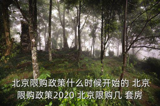  北京限購(gòu)政策什么時(shí)候開(kāi)始的 北京限購(gòu)政策2020 北京限購(gòu)幾 套房