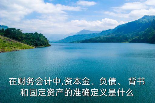 在財務(wù)會計中,資本金、負(fù)債、 背書和固定資產(chǎn)的準(zhǔn)確定義是什么