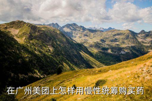 在廣州美團(tuán)上怎樣用慢性統(tǒng)籌購(gòu)買藥