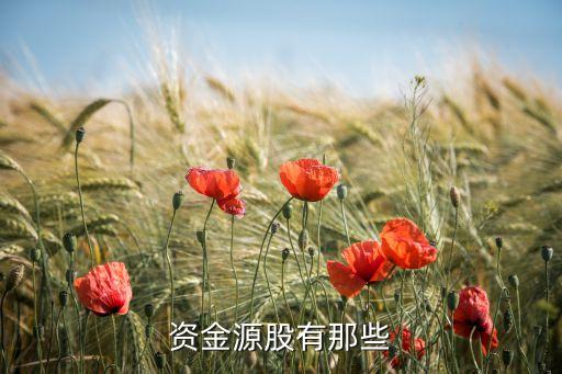 資金源股有那些