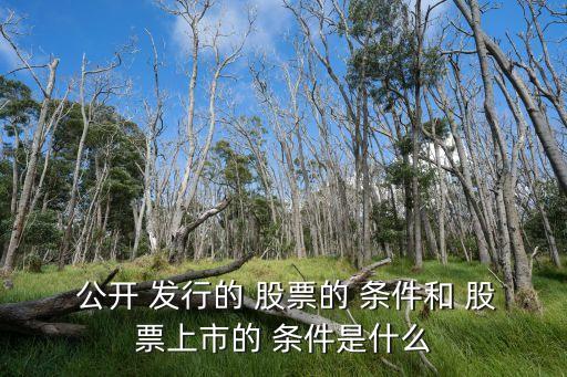  公開(kāi) 發(fā)行的 股票的 條件和 股票上市的 條件是什么