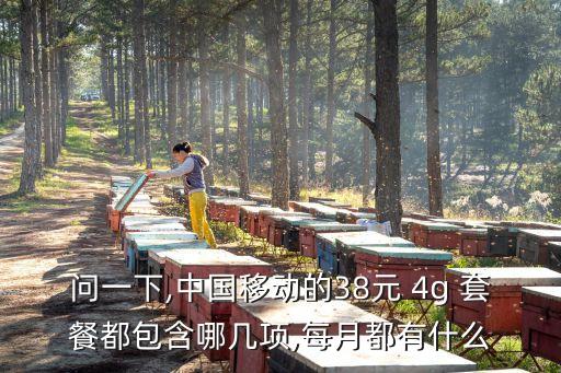 問一下,中國移動的38元 4g 套餐都包含哪幾項(xiàng),每月都有什么