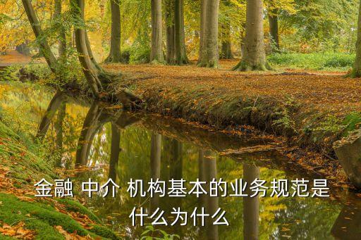 中國金融中介機(jī)構(gòu)