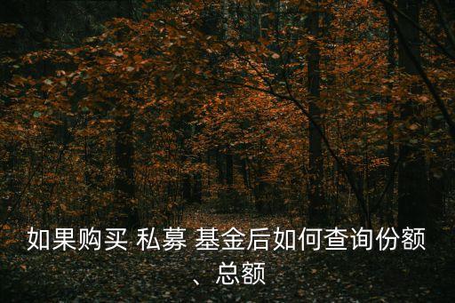 如果購(gòu)買(mǎi) 私募 基金后如何查詢(xún)份額、總額