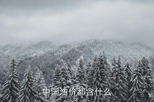 中國油價(jià)都含什么