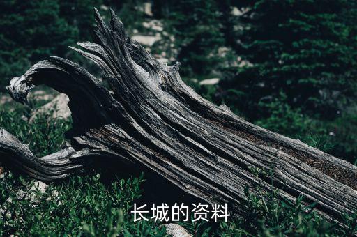  長(zhǎng)城的資料