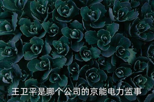 王衛(wèi)平是哪個公司的京能電力監(jiān)事