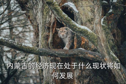 內(nèi)蒙古產(chǎn)業(yè)基金鼓勵(lì)政策,我國鼓勵(lì)通過設(shè)立產(chǎn)業(yè)基金