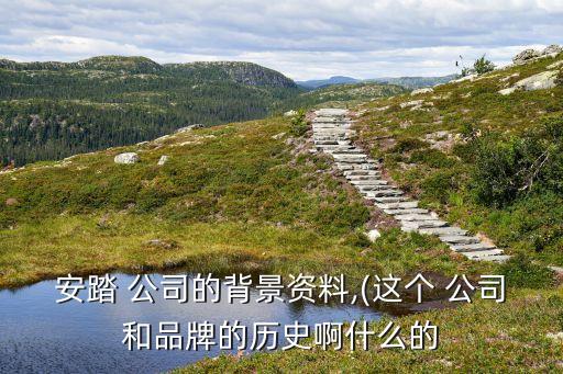 安踏 公司的背景資料,(這個 公司和品牌的歷史啊什么的