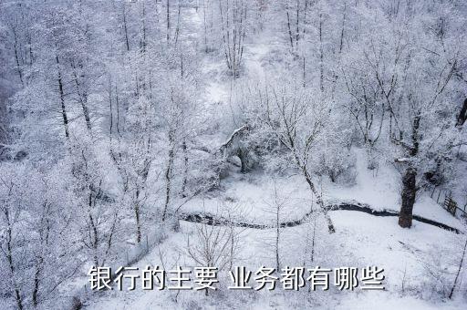銀行全部業(yè)務(wù),銀行對(duì)私業(yè)務(wù)是什么