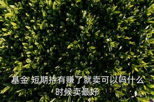  基金 短期持有賺了就賣(mài)可以嗎什么時(shí)候賣(mài)最好