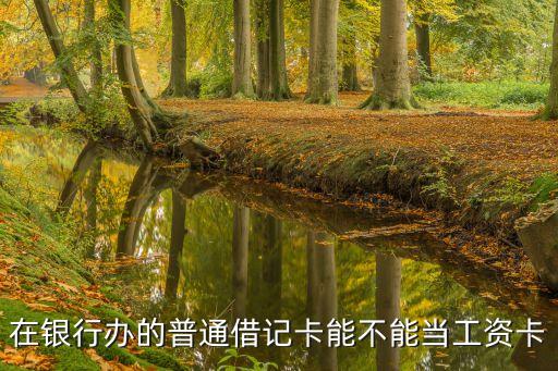 在銀行辦的普通借記卡能不能當(dāng)工資卡