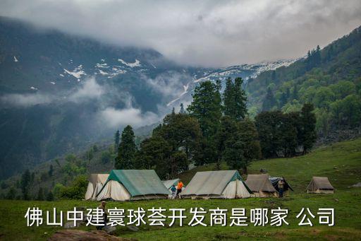 佛山中建寰球薈開(kāi)發(fā)商是哪家 公司