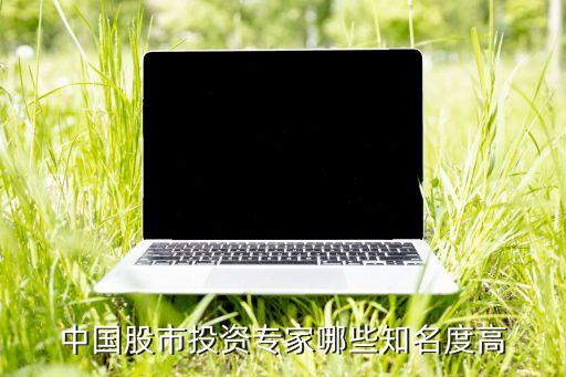 中國(guó)股市投資專家哪些知名度高