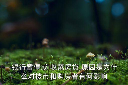  銀行暫?；?收緊房貸,原因是為什么對(duì)樓市和購房者有何影響