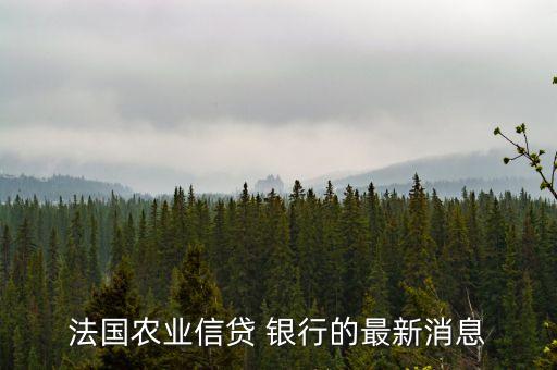 法國農業(yè)信貸 銀行的最新消息