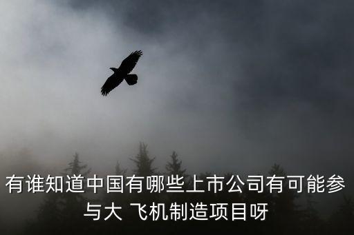 有誰知道中國(guó)有哪些上市公司有可能參與大 飛機(jī)制造項(xiàng)目呀