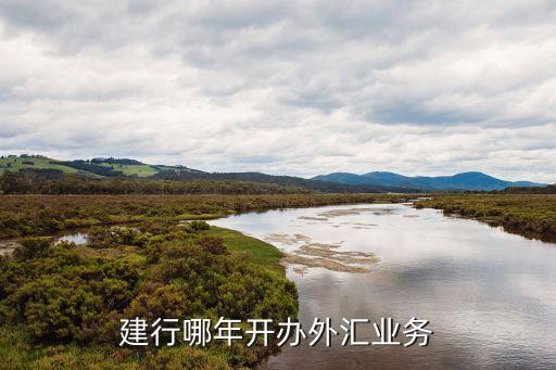 建行哪年開辦外匯業(yè)務