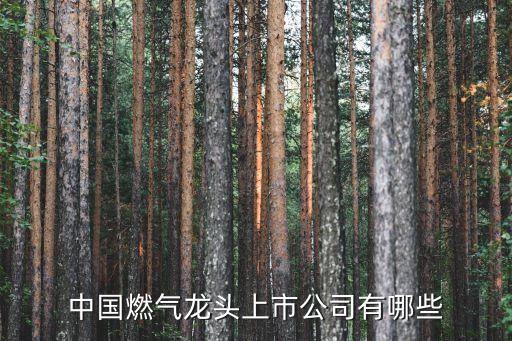 中國(guó)燃?xì)恺堫^上市公司有哪些