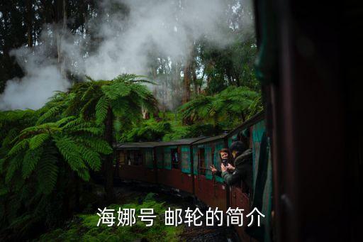 海娜號(hào) 郵輪的簡介