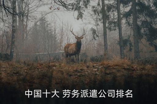 中國十大 勞務派遣公司排名