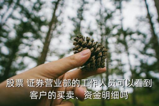 股票 證券營業(yè)部的工作人員可以看到客戶的買賣、資金明細(xì)嗎