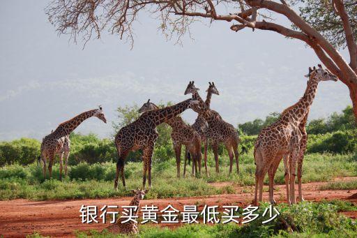  銀行買(mǎi)黃金最低買(mǎi)多少