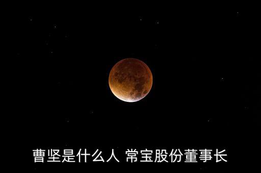 曹堅(jiān)是什么人 常寶股份董事長