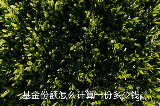  基金份額怎么計(jì)算一份多少錢(qián)