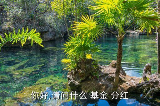 你好,請(qǐng)問(wèn)什么 基金 分紅