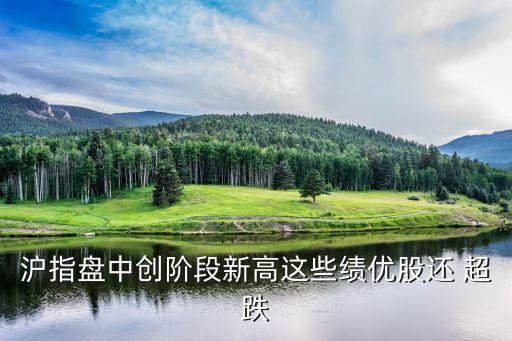 滬指盤(pán)中創(chuàng)階段新高這些績(jī)優(yōu)股還 超跌