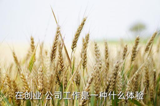 在創(chuàng)業(yè) 公司工作是一種什么體驗(yàn)