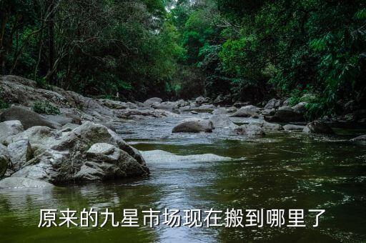 上海市虹井路159號(hào),虹井路159號(hào)屬于什么街道