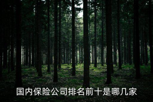 國內(nèi)保險(xiǎn)公司排名前十是哪幾家