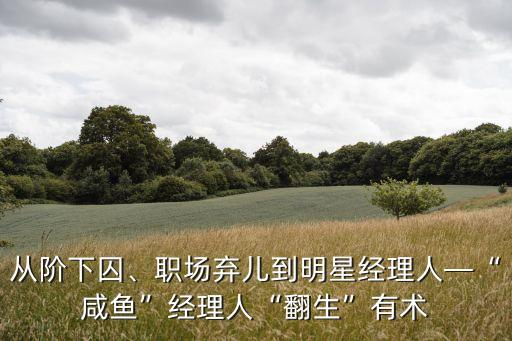 從階下囚、職場(chǎng)棄兒到明星經(jīng)理人—“咸魚”經(jīng)理人“翻生”有術(shù)