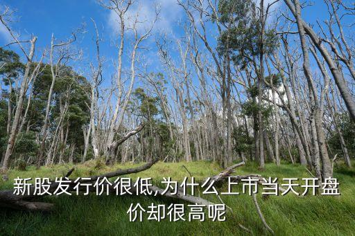 新股發(fā)行價(jià)很低,為什么上市當(dāng)天開(kāi)盤(pán)價(jià)卻很高呢