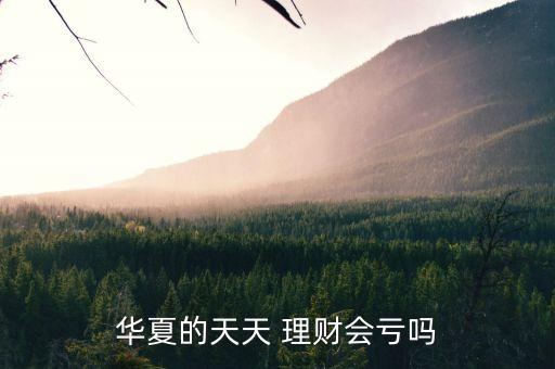 華夏的天天 理財(cái)會(huì)虧嗎