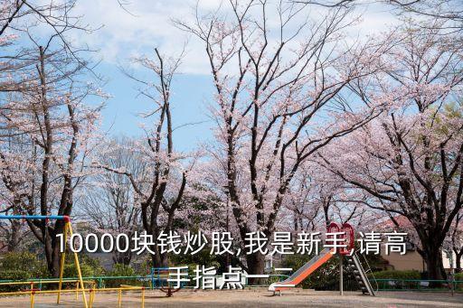 10000塊錢炒股,我是新手,請高手指點一二